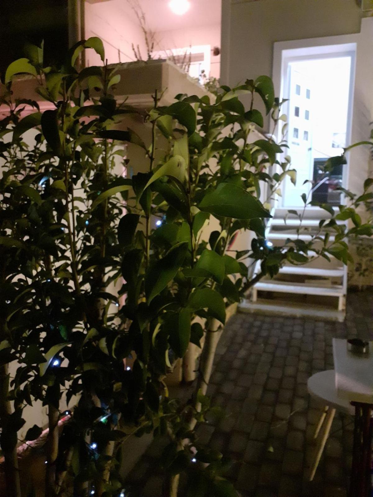 Exostis Βίλα Ναύπλιο Εξωτερικό φωτογραφία